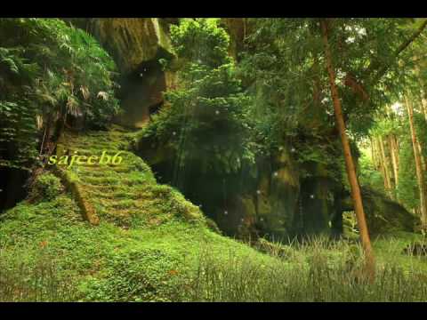 kattu kurinji poovum choodi mp3 kattu kurinji poovum choodi mp3